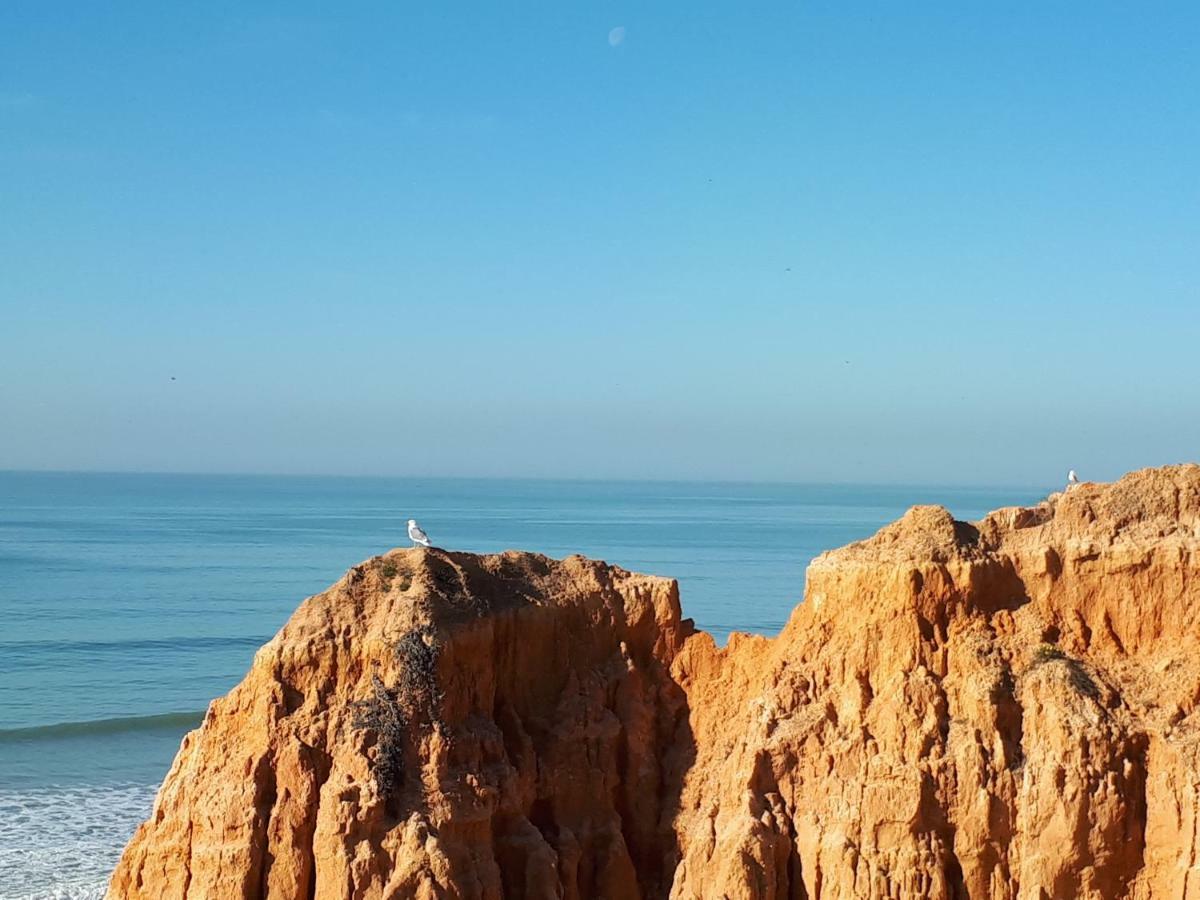 Apartamento Albufeira 6 B Ngoại thất bức ảnh